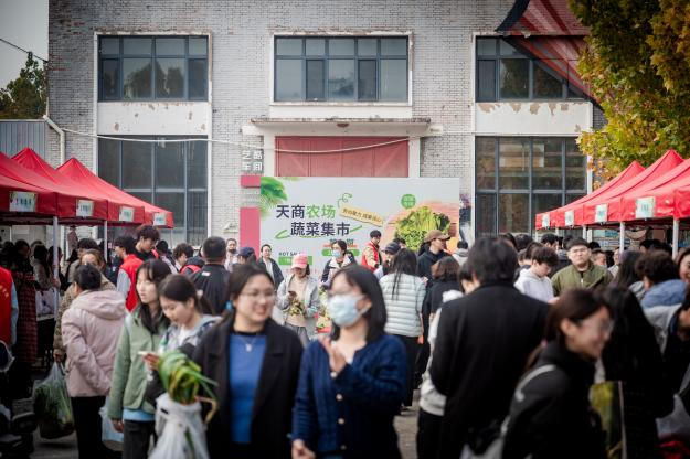 “蔬菜集市”秋日丰收季 “天商农场”系列耕耘润心田